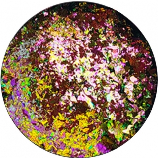 Chameleon flakes unicorn pink gold 4
